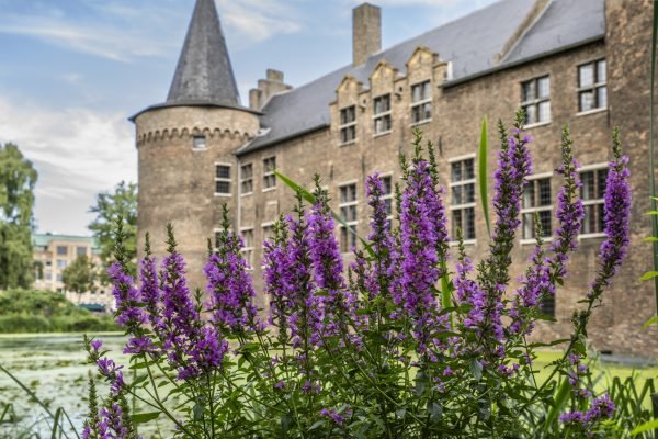 Kasteel Helmond