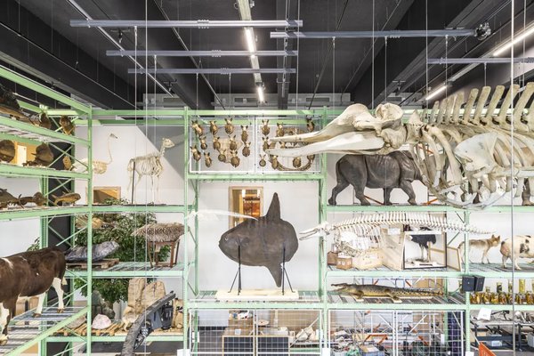 Naturalis Biodiversity Center