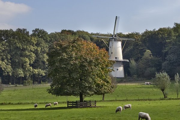 Nederlands Openluchtmuseum