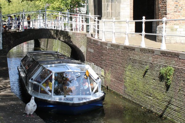 Date tips Delft
